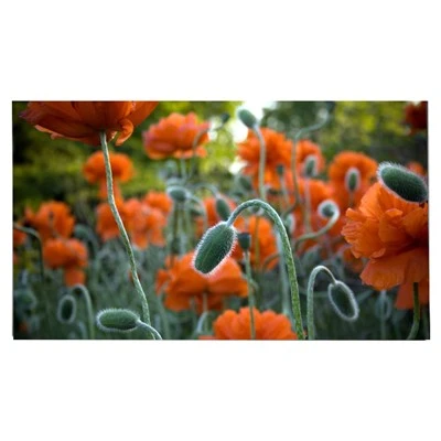 27. 0 collas LM270WR 8- SSC1 TFT LCD displejs